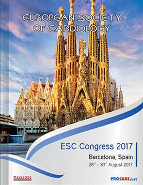 Creative Print Highlights